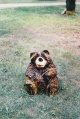 Small Sitting Bear